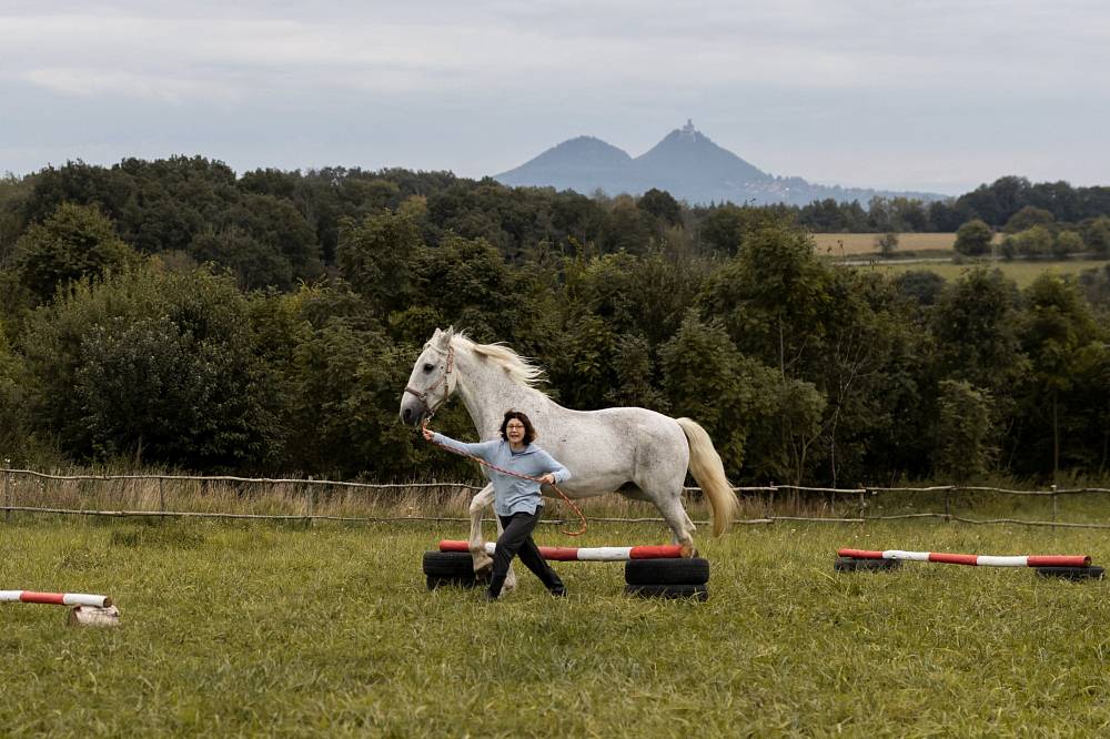 (Z MÉHO SEZNAMU 11.3.) Kůň, který změnil osud jedné ženy. Film Buko má nečekaně silný příběh