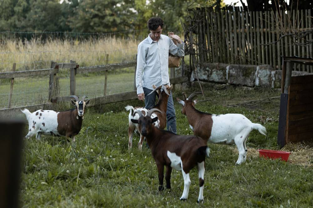 (Z MÉHO SEZNAMU 11.3.) Kůň, který změnil osud jedné ženy. Film Buko má nečekaně silný příběh