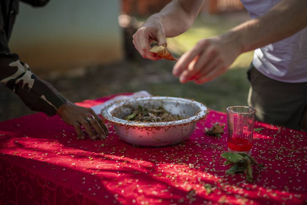 Mravenci na talíři! Soutěžící v Asia Express zažili peklo