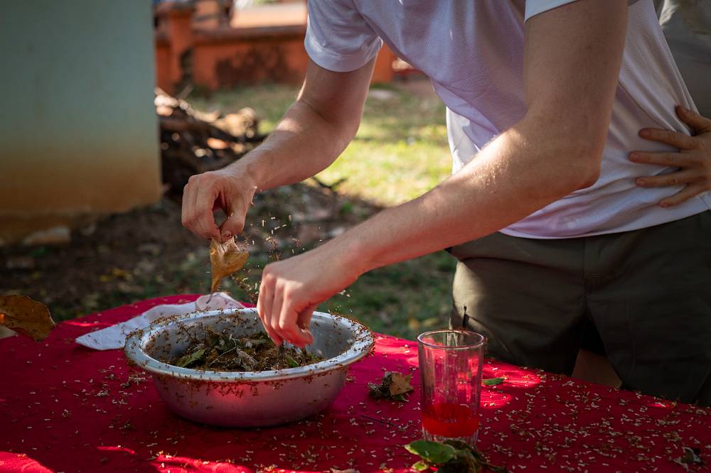 Mravenci na talíři! Soutěžící v Asia Express zažili peklo