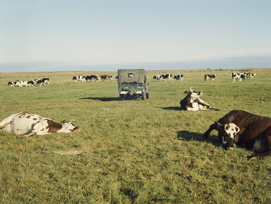 Heroin: Film, ze kterého mrazí ještě dnes a kde se Jean Gabin předvedl v životní formě a nadhodil téma spravedlnosti a msty