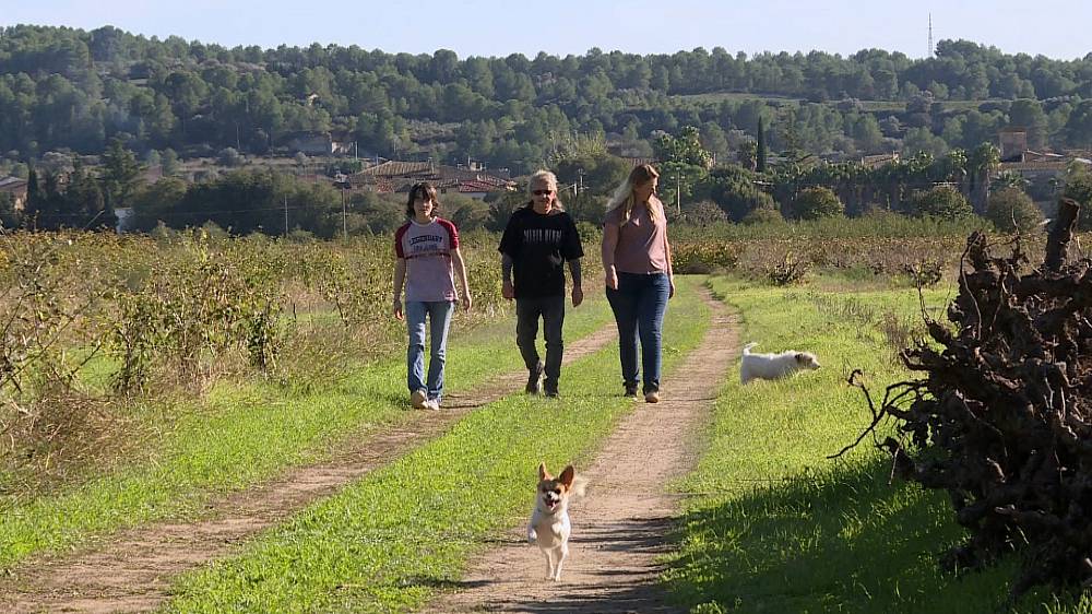 Výměna manželek: Dva tatínci pod jednou střechou, partnerská krize a natáčení v Katalánsku. Nové díly ode dneška na Oneplay