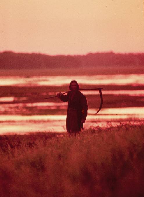 Skutečný příběh, který děsí dodnes: Salemské procesy ožívají