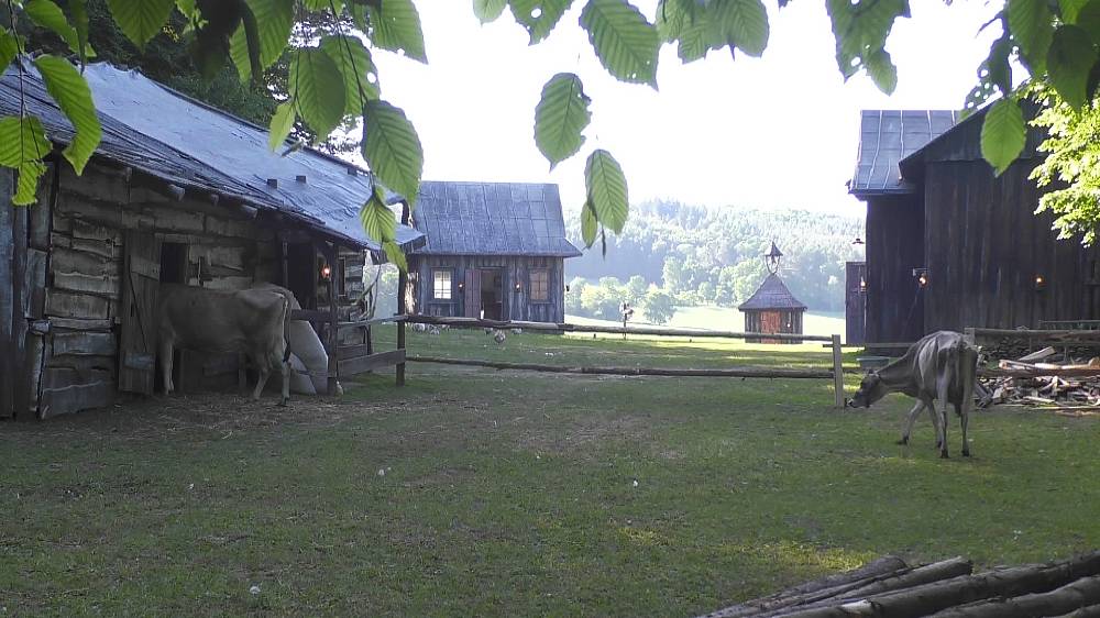 Striptérka z Farmy přesvědčivě ovládla první duel a poslala domů kováře