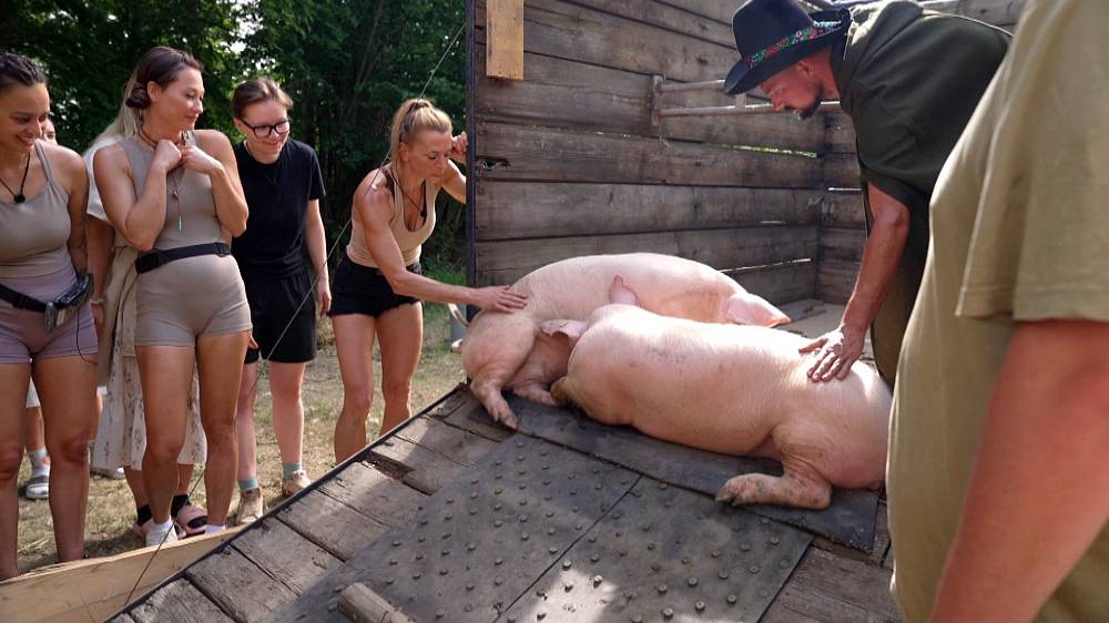 Na Farmě se rodí spiknutí. Filipovi se hroutí plán a padla slova o manipulaci