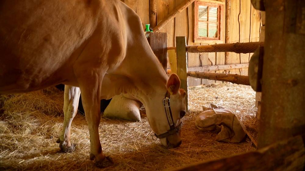 Návrat Martiny na Farmu otevřel staré rány, vznikají spekulace o nové dvojici