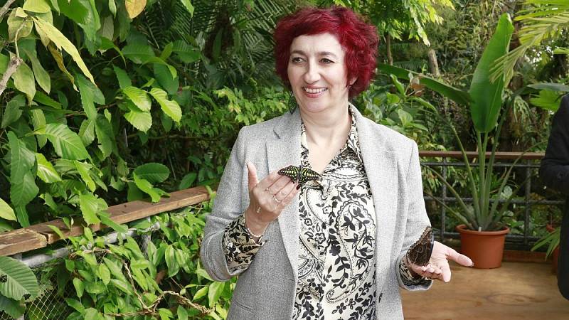 Simona Babčáková v současnosti