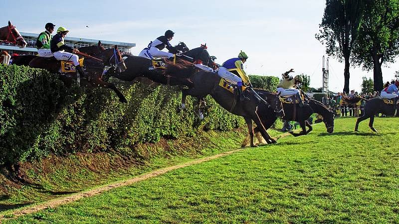 Velká pardubická