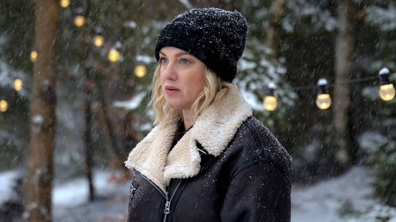 kapitánka Dana Skálová (Monika Hilmerová)