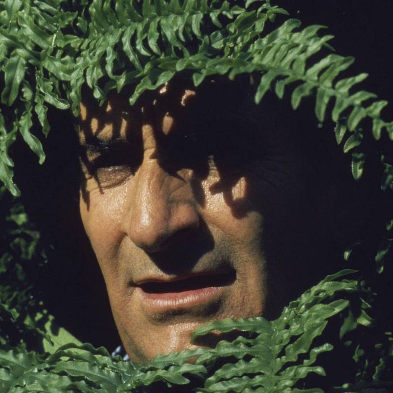 Louis de Funès