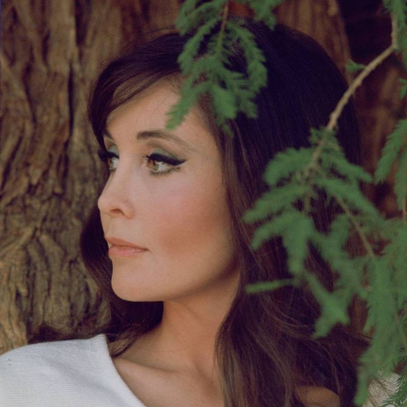 Anjanette Comer