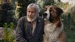 Volání divočiny: V hlavní roli pes Buck s velkým srdcem a „Indiana Jones” v penzi