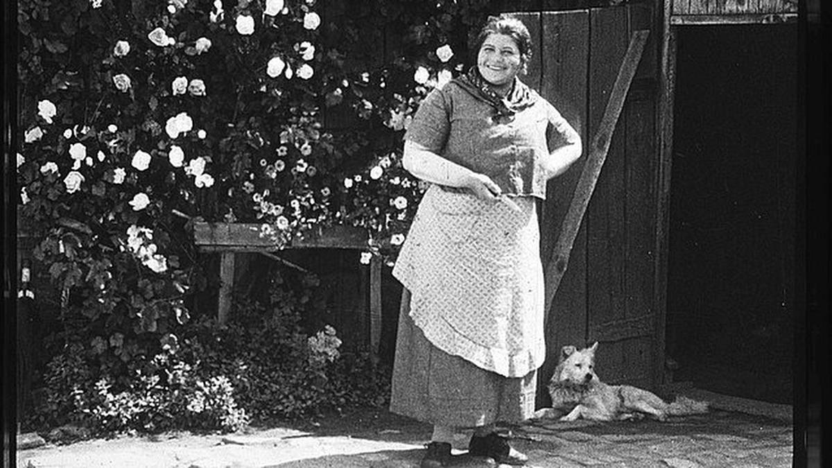 Boubelky českých filmů, které si s dietami hlavy nelámaly, přesto byly úspěšné a svým způsobem i atraktivní Boubelky českých filmů, které si s dietami hlavy nelámaly, přesto byly úspěšné a svým způsobem i atraktivní