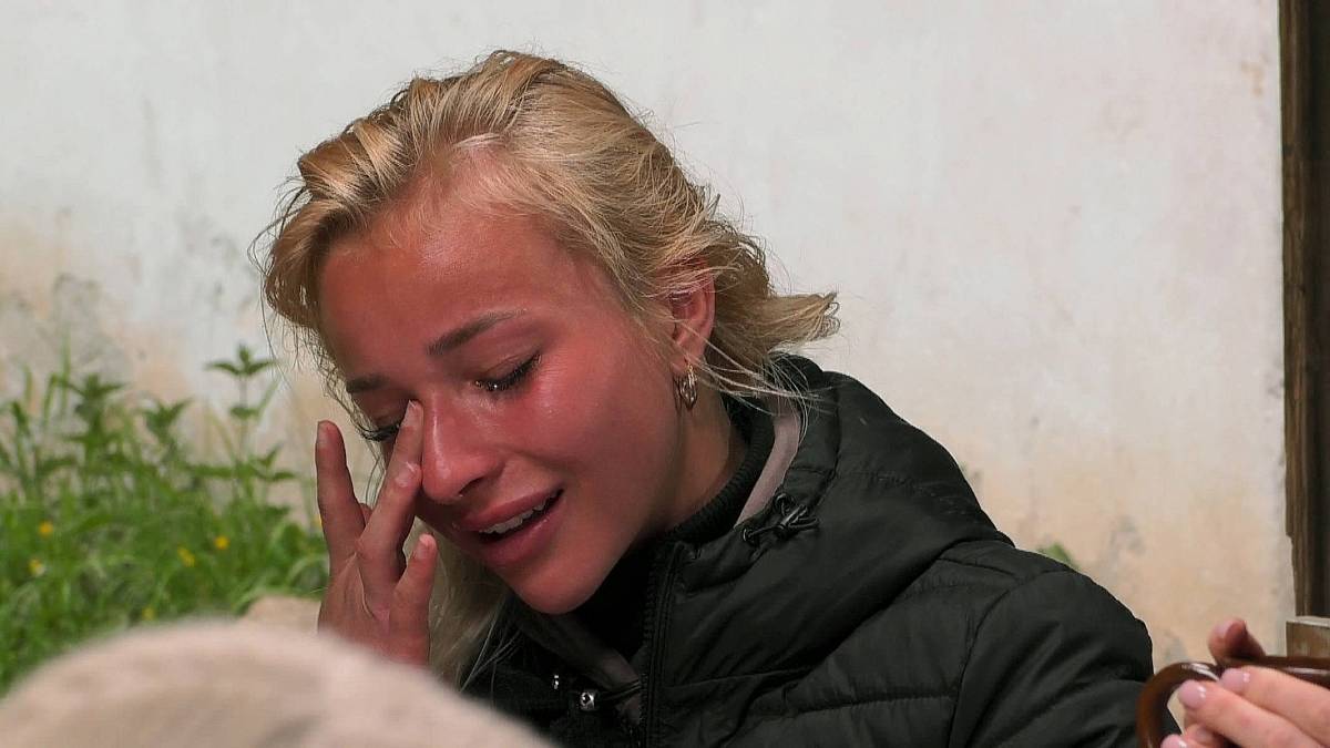 Počet krav na Farmě se zvýšil, dvě přivedl hospodář Počet krav na Farmě se zvýšil, dvě přivedl hospodář