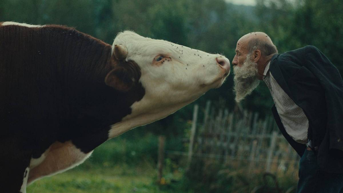 8 filmových premiér, které se určitě neztratí ani po festivalu v Karlových Varech 8 filmových premiér, které se určitě neztratí ani po festivalu v Karlových Varech