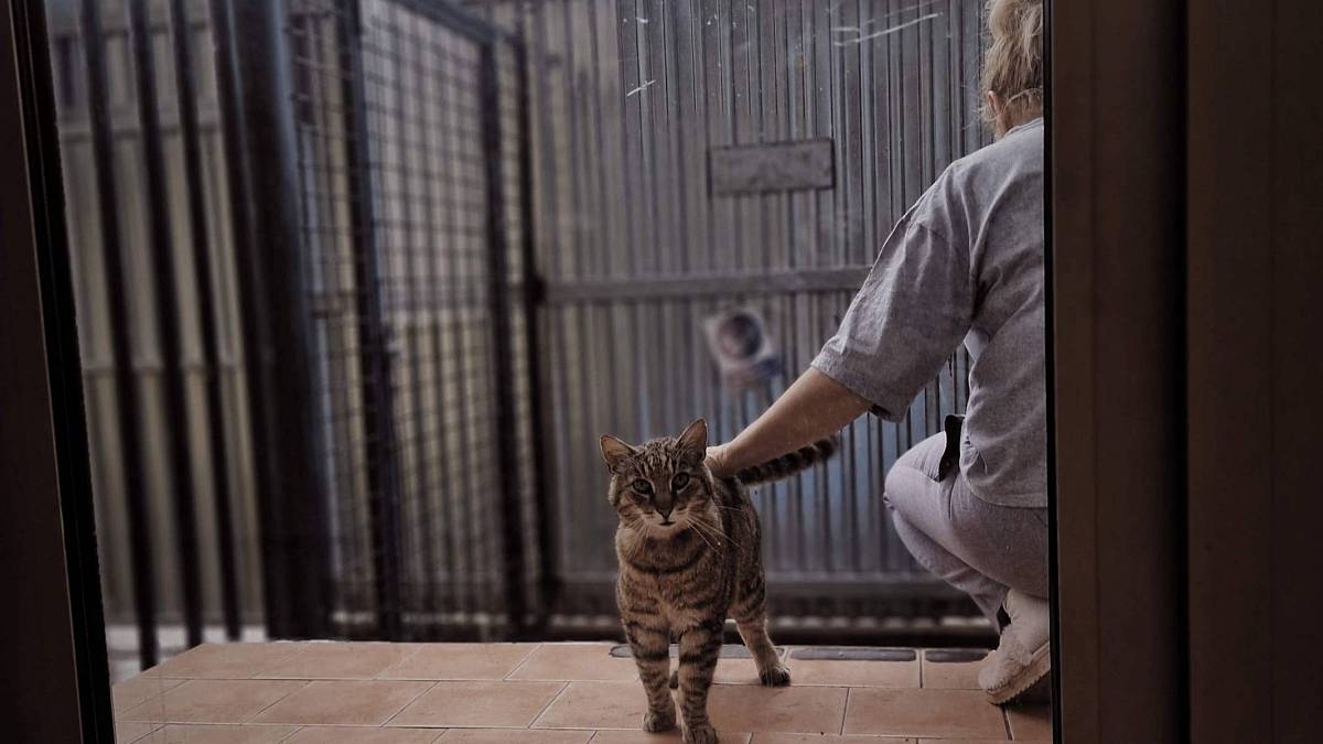 Tváří v tvář trestancům. Tentokrát o životě vězeňských dozorců v českých věznicích