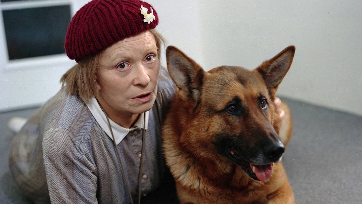 RETROKVÍZ: Vyrostli jste na českých filmech 90. let? Tohle prověří, jak dobře jste dávali pozor