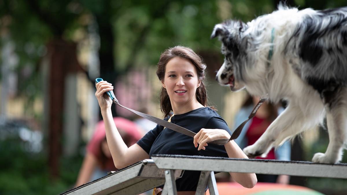 Dnes se v 20:15 seběhne u televize celá rodina, Prima vysílá nejlepší komedii 21. století