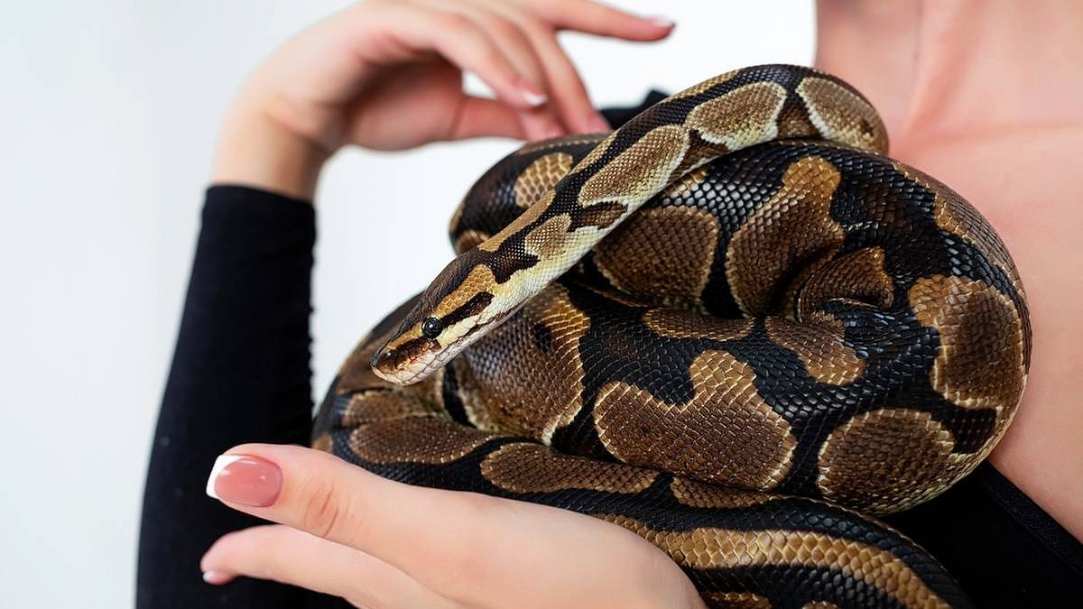 Tohle má doma herečka Tereza Kostková. Návštěvu trefí šlak už u dveří