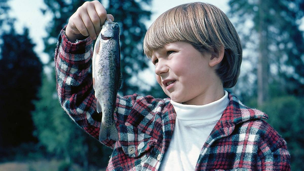 Jak dnes vypadá chalupa na Šumavě z filmu Pod jezevčí skálou. Podívejte se na zázrak