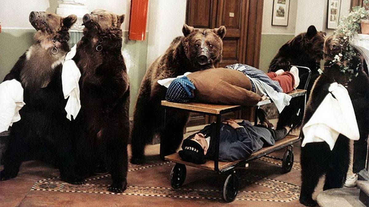 KVÍZ: Myslíte si, že znáte film Šest medvědů s Cibulkou nazpaměť? 7. otázka v kvízu dostala i ty největší experty