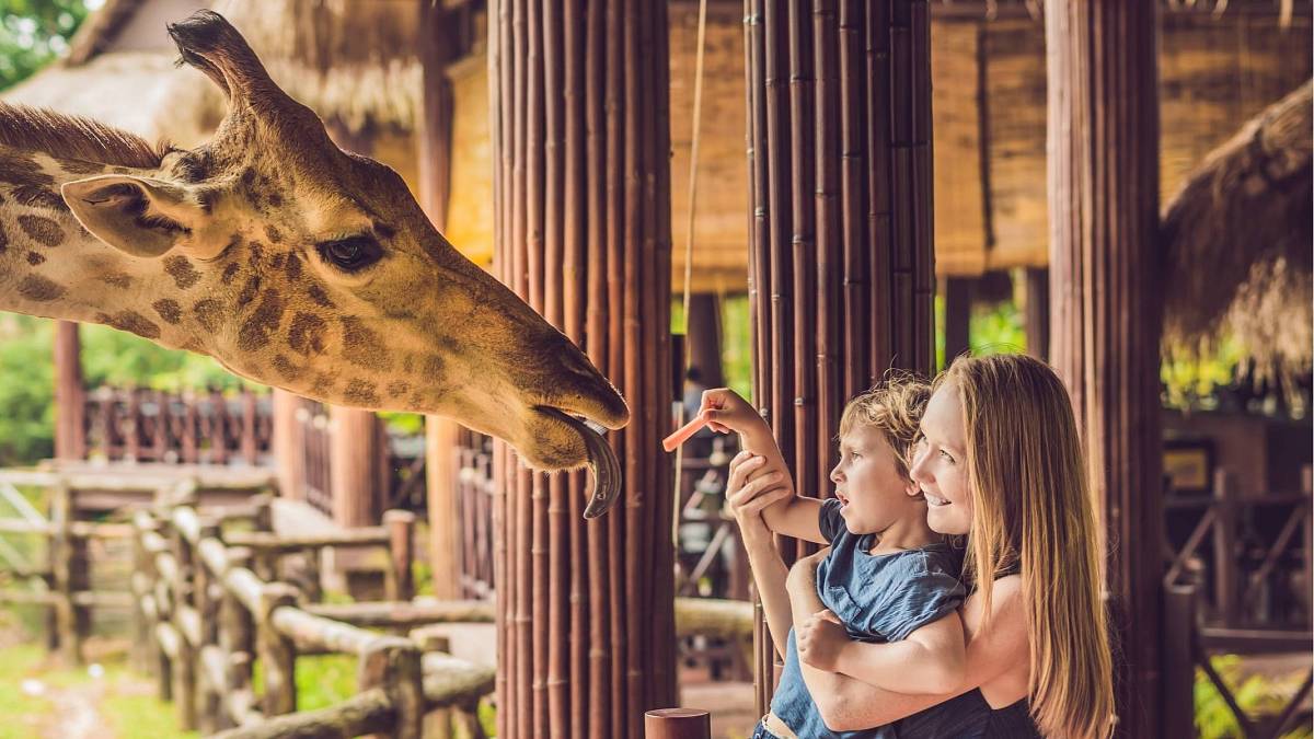 Moje máma veterinářka – dilema pro každého ředitele zoo