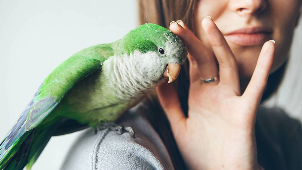 Moje máma veterinářka – zvířata a lidi si mohou pomáhat