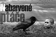 Nabarvené ptáče (2019): Lidé v Benátkách neunesli brutalitu filmu a utíkali z kina Nabarvené ptáče (2019): Lidé v Benátkách neunesli brutalitu filmu a utíkali z kina