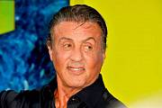 Creed či Rocky: Nová krev. Jak se neoficiální pokračování legendární řady postaralo o ocenění Stallona Creed či Rocky: Nová krev. Jak se neoficiální pokračování legendární řady postaralo o ocenění Stallona