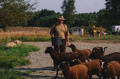 Farma Vojty Kotka: Poznejte okamžik, kdy se radost z práce mění v lekci, kterou nikdo nechce zažít