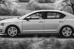 Polabí: Jak by mohl příběh našich hrdinů v malebném Polabí pokračovat