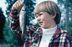 Jak dnes vypadá chalupa na Šumavě z filmu Pod jezevčí skálou. Podívejte se na zázrak