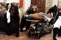 KVÍZ: Myslíte si, že znáte film Šest medvědů s Cibulkou nazpaměť? 7. otázka v kvízu dostala i ty největší experty