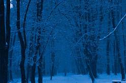 Gotický horor s DiCapriem má první snímky z Čech. Tahle pecka zaútočí na Oscara