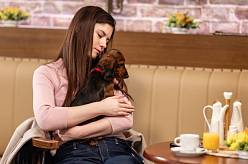 Příští týden v Ulici: Návrat Koníčka, boj za práva zvířat a žádost o ruku