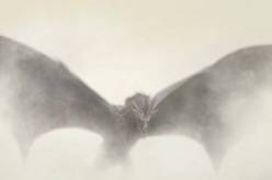 Hra o trůny jako filmový blockbuster: Stane se bývalý Superman Aegonem Dobyvatelem?