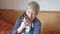 Nyklovi z Ulice jsou ve skutečnosti rodinou pejskařů. Vilma má čivavu, Kateřina buldočka Nyklovi z Ulice jsou ve skutečnosti rodinou pejskařů. Vilma má čivavu, Kateřina buldočka