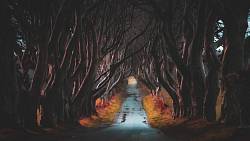 Chyby a zajímavosti velkolepého fantasy seriálu Hra o trůny, který ovládl svět Chyby a zajímavosti velkolepého fantasy seriálu Hra o trůny, který ovládl svět