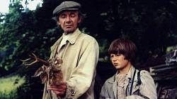 Velký kvíz české kinematografie: Jen pro opravdové znalce