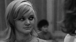 RETROKVÍZ: Máte rádi Lásky jedné plavovlásky? Otestujte, co si z Formanova klasiky pamatujete