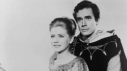 František z Assisi: Pokoj a dobro pod vánoční hvězdou