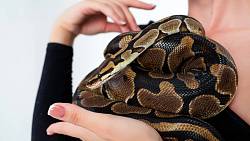 Tohle má doma herečka Tereza Kostková. Návštěvu trefí šlak už u dveří