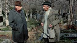 Zítra na ČT jedna poběží nejlepší Svěrákova komedie. 90 % Čechů bohužel netuší, že vůbec existuje