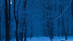 Gotický horor s DiCapriem má první snímky z Čech. Tahle pecka zaútočí na Oscara