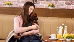 Příští týden v Ulici: Návrat Koníčka, boj za práva zvířat a žádost o ruku