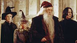 V kvízu o Harry Potterovi a Tajemné komnatě si vyzkoušíte, jestli Vám pojmy jako bazilišek, skřítek Dobby či Bradavice utkvěly v paměti