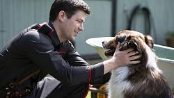 Ruby záchranářka: Netflix přináší příběh o psovi s velkým srdcem