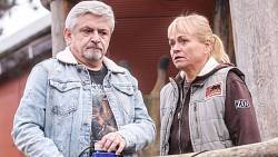 ZOO: Berenika Suchánková v roli Petry dostává do seriálu rodinnou posilu. Jako nezbedný Ruda přichází Michal Suchánek ZOO: Berenika Suchánková v roli Petry dostává do seriálu rodinnou posilu. Jako nezbedný Ruda přichází Michal Suchánek