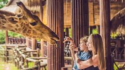 Moje máma veterinářka – dilema pro každého ředitele zoo Moje máma veterinářka – dilema pro každého ředitele zoo