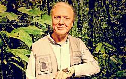 David Attenborough: Celoživotní pozorovatel přírody a optimista, věřící, že člověk se sám nevyhubí David Attenborough: Celoživotní pozorovatel přírody a optimista, věřící, že člověk se sám nevyhubí